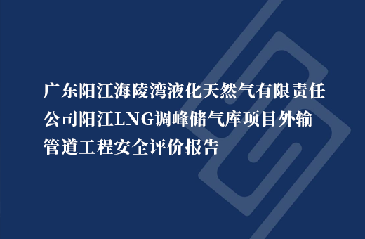 广东阳江海陵湾液化天然气有限责任公司阳江LNG调峰储气库项目外输管道工程