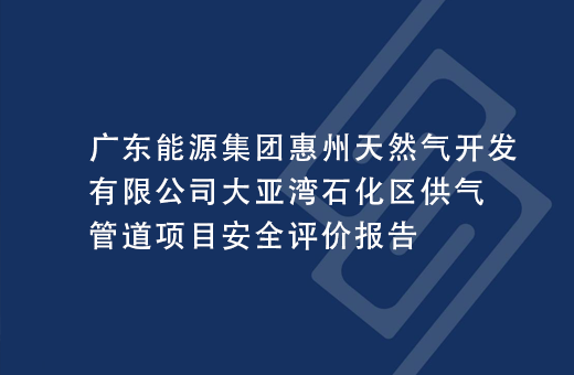 广东能源集团惠州天然气开发有限公司大亚湾石化区供气管道项目安全评价报告