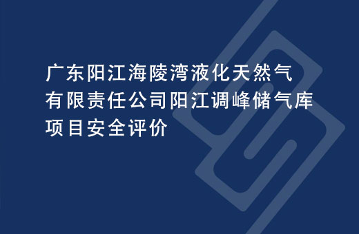 广东阳江海陵湾液化天然气有限责任公司阳江调峰储气库项目安全评价