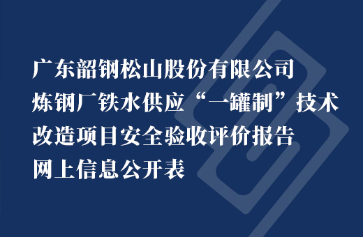 广东韶钢松山股份有限公司炼钢厂铁水供应“一罐制”技术改造项目