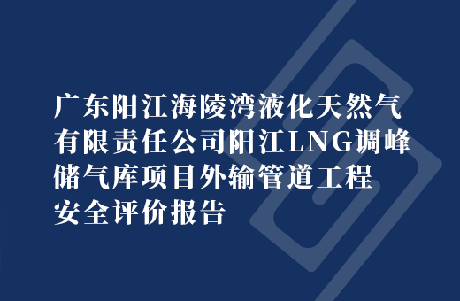 广东阳江海陵湾液化天然气有限责任公司阳江LNG调峰储气库项目外输管道工程