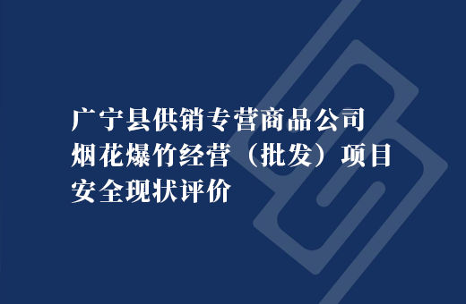 广宁县供销专营商品公司烟花爆竹经营（批发）项目安全现状评价