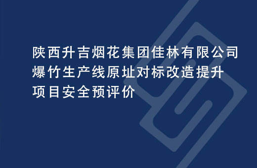 陕西升吉烟花集团佳林有限公司爆竹生产线原址对标改造提升项目安全预评价