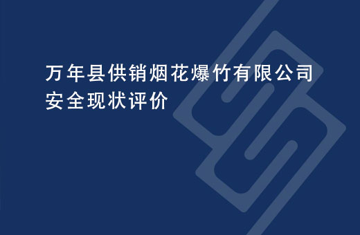 万年县供销烟花爆竹有限公司安全现状评价