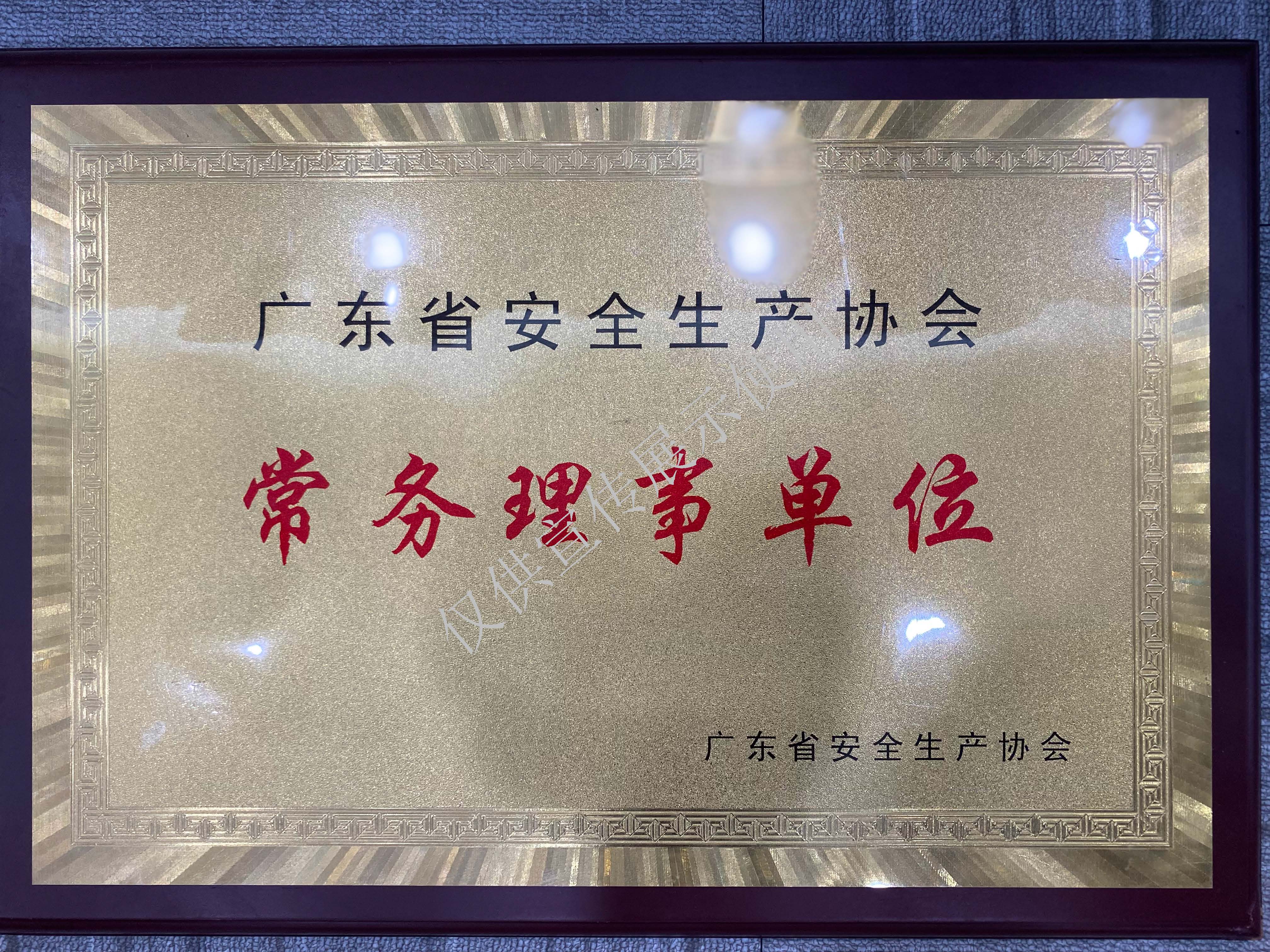 广东省安全生产协会-常务理事单位