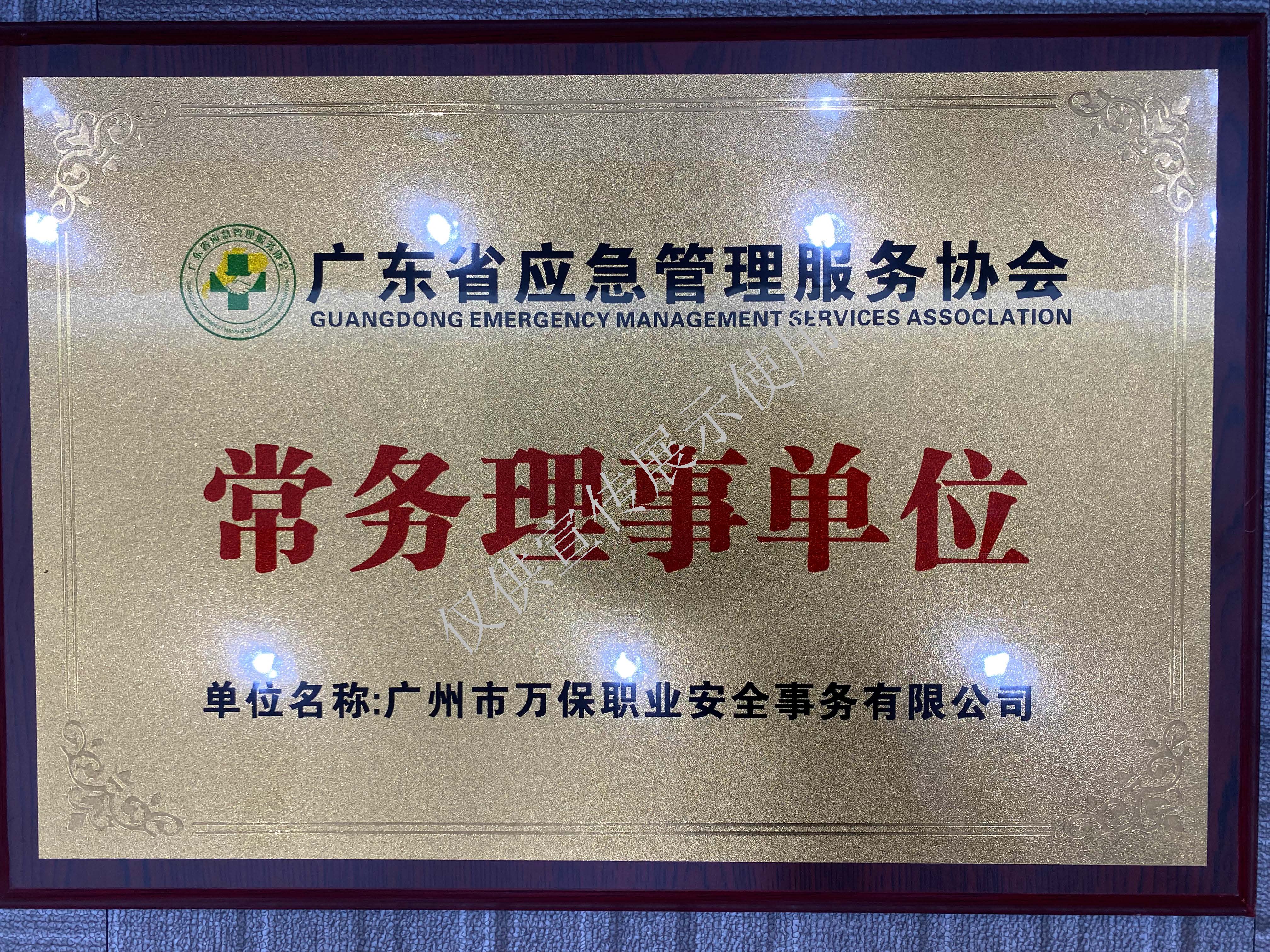 广东省应急管理服务协会-常务理事单位